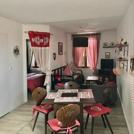 Gite Saint Florent Studio Apartment Parking Gratuit Strasbourg Exterior photo
